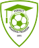 Akademia Piłkarska PERFECT Przeworsk Logo
